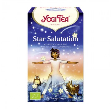 YOGI STAR SALUTATION 17 U