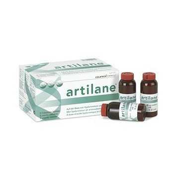 ARTILANE 15 AMP