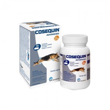 COSEQUIN ADVANCE MSM 40 COM